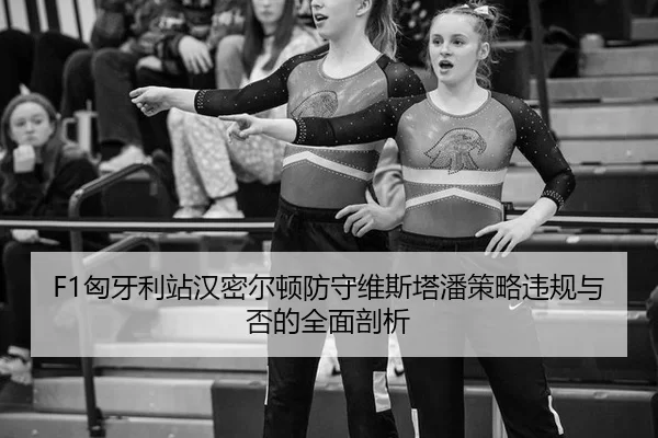 xiong-ya-li-zhan-han-mi-er-dun-fang-shou-wei-si-ta-pan-ce-lve-wei-gui-yu-fou-de-quan-mian-pou-xi-2-681.jpg